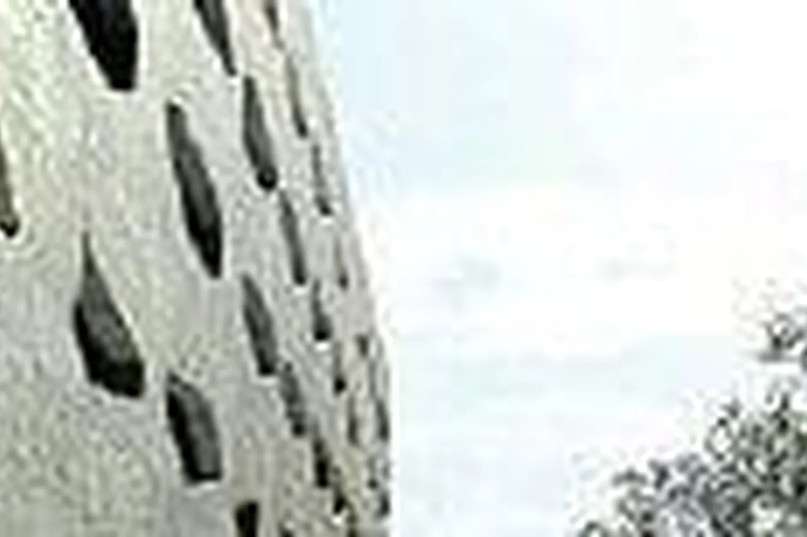 Lieux événementiels, MAISON LECOMTE