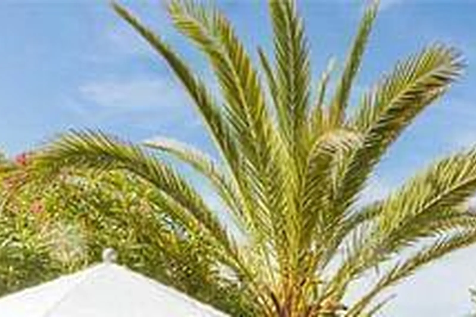 Lieux événementiels, ATELIERDAKOTE