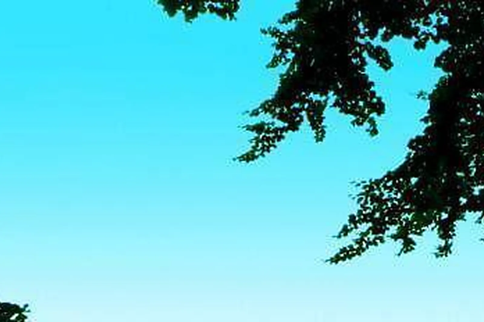 Lieux événementiels, BELAMBRA MEETINGS & EVENTS - L’ALISIER ***