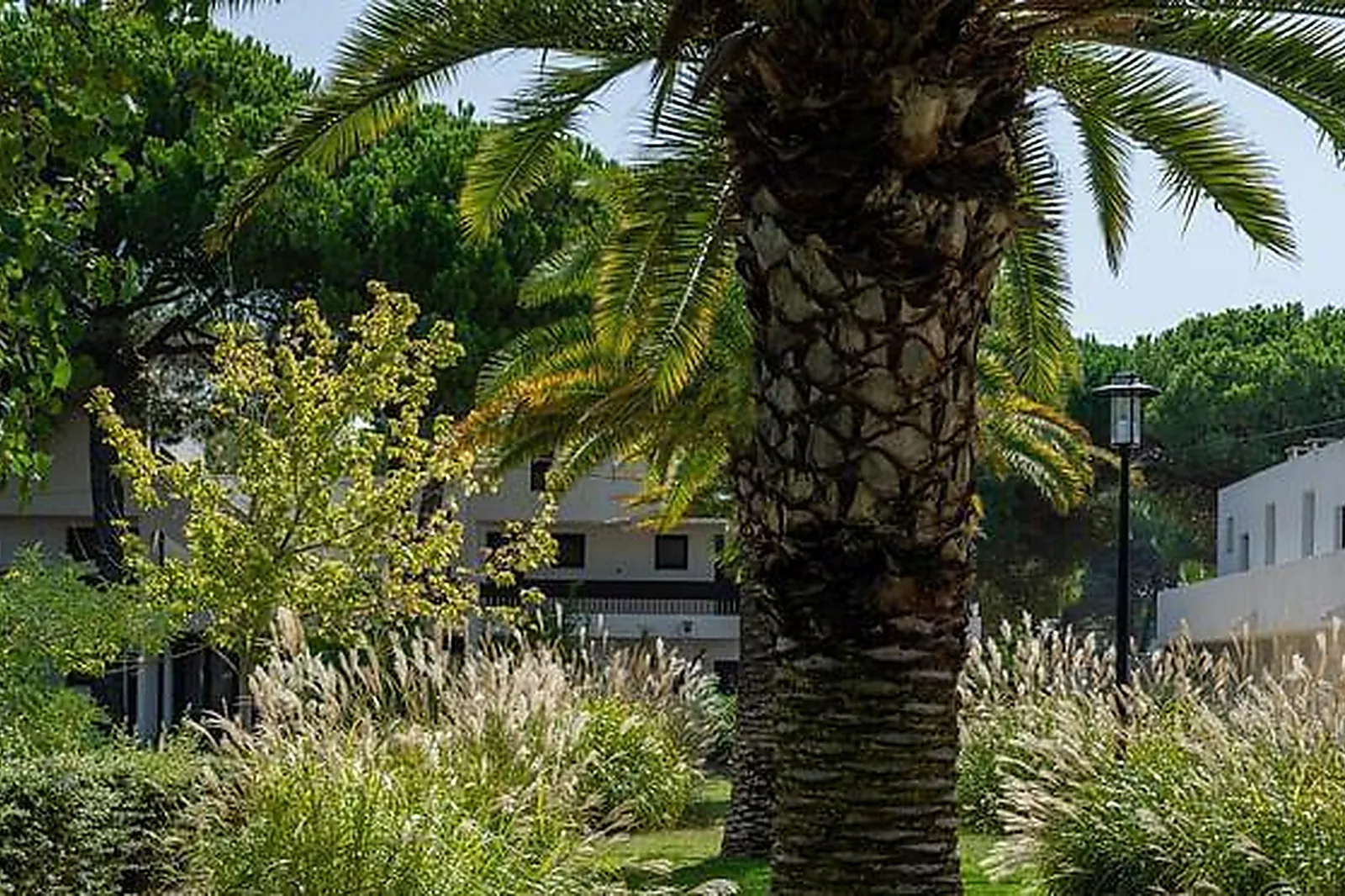 Lieux événementiels, BELAMBRA MEETINGS & EVENTS - PRESQU’ÎLE DU PONANT ***
