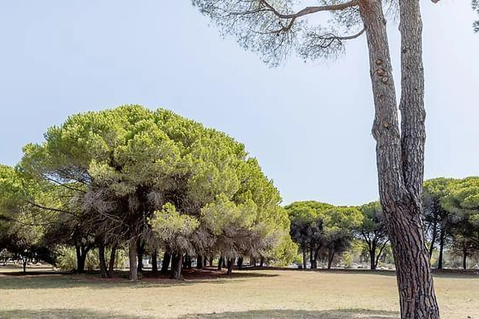 Lieux événementiels, BELAMBRA MEETINGS & EVENTS - PRESQU’ÎLE DU PONANT ***
