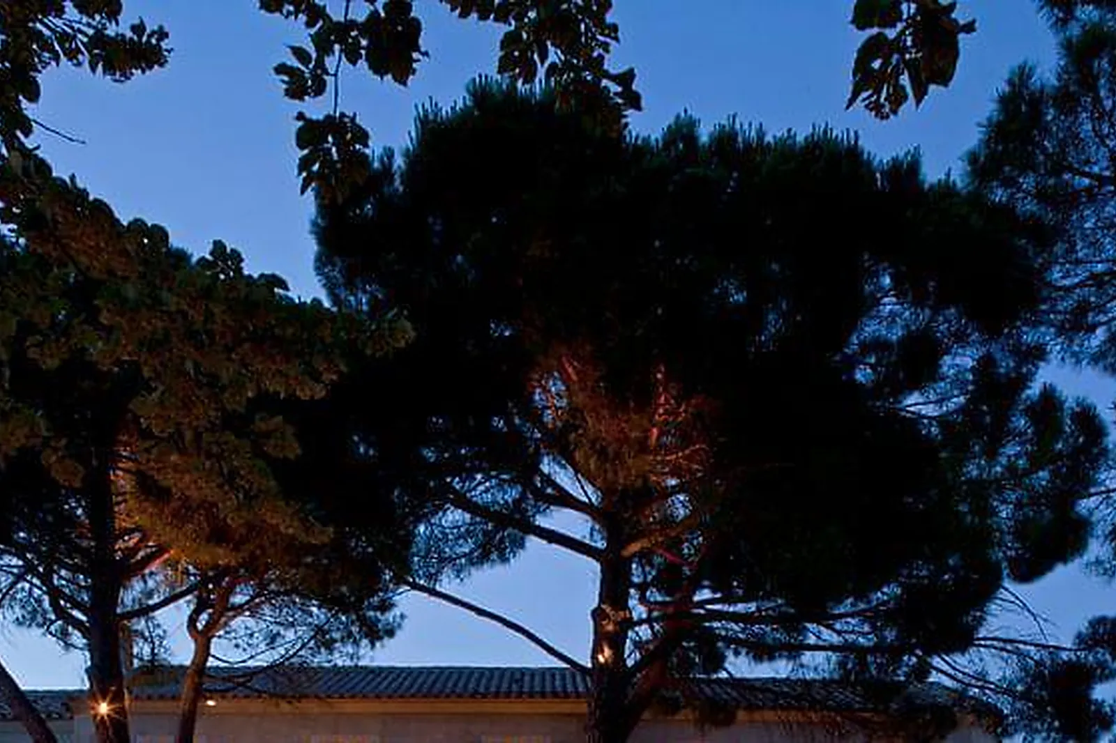 Lieux événementiels, BENVENGUDO