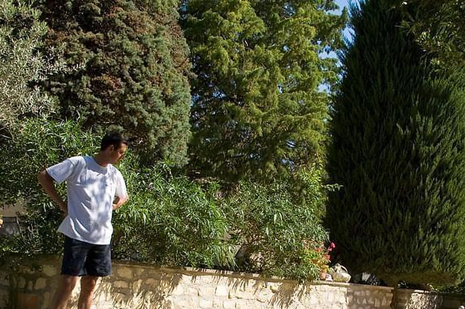 Lieux événementiels, BENVENGUDO