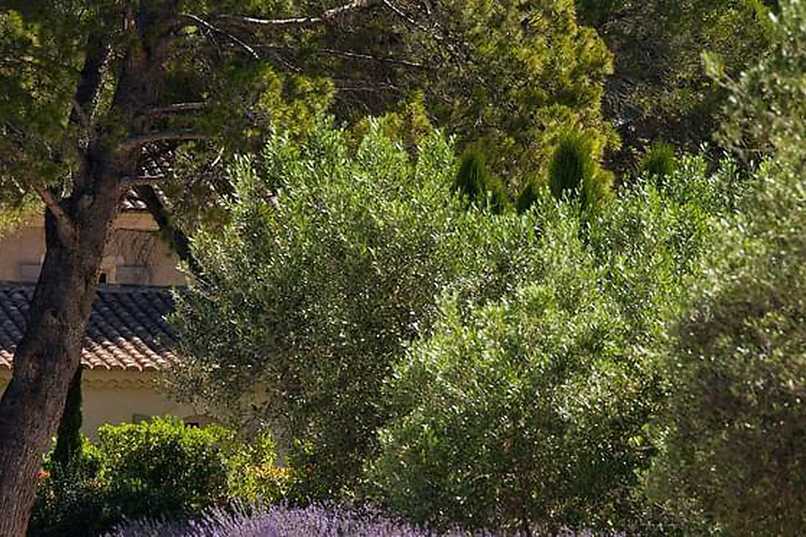 Lieux événementiels, BENVENGUDO