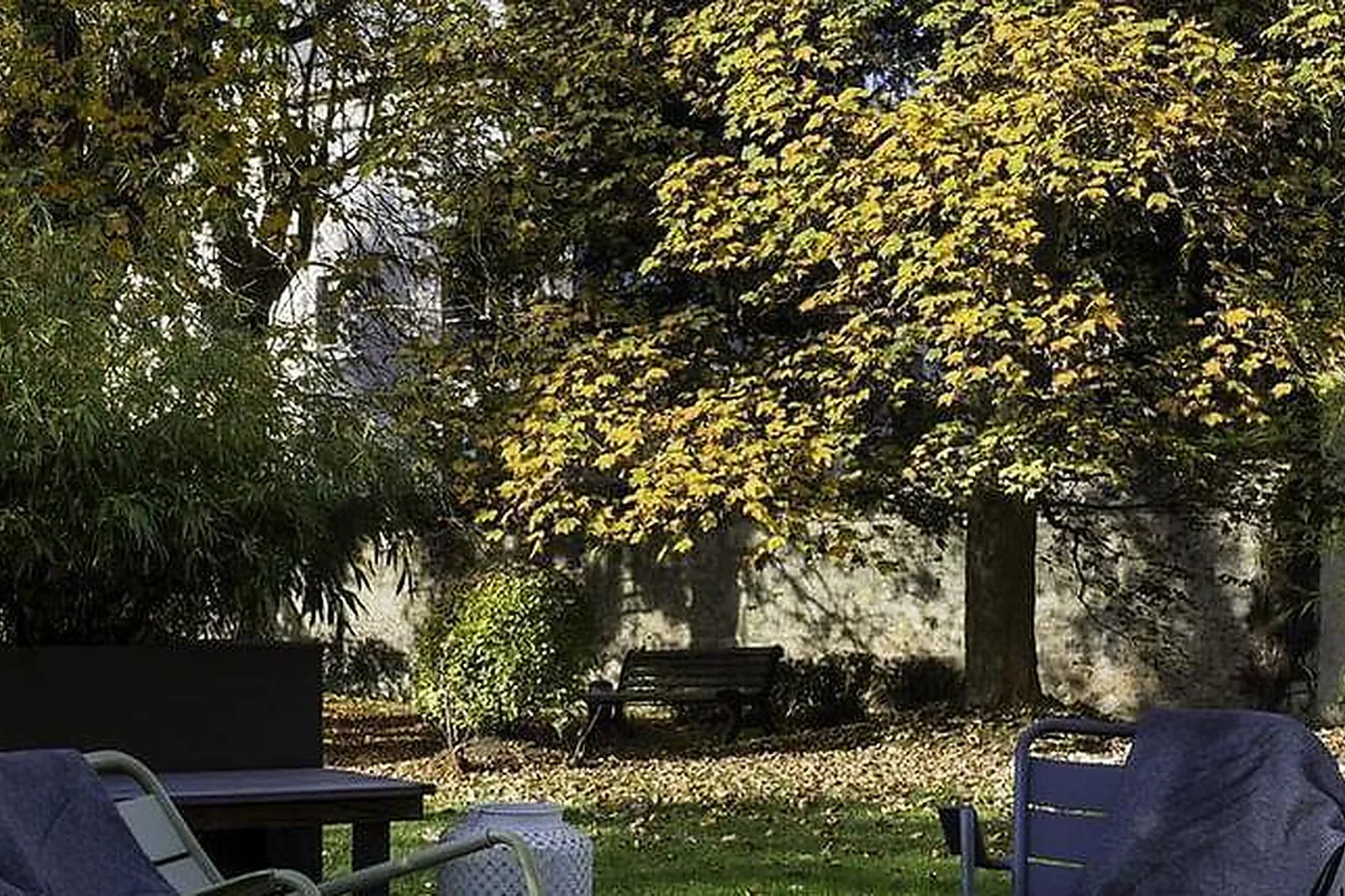 Lieux événementiels, PATHÉ ORLÉANS