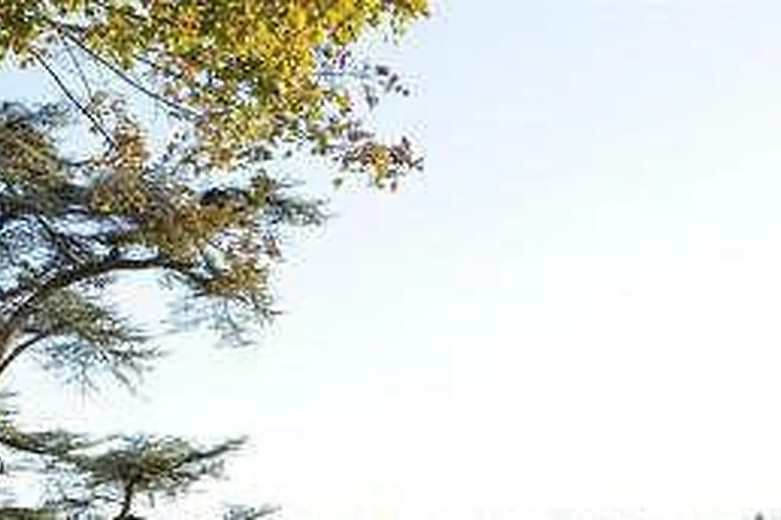 Lieux événementiels, BEST WESTERN LE PONT D'OR ***