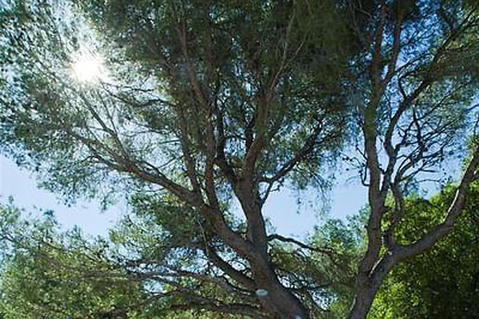 Lieux événementiels, CENTRE D'AFFAIRES ULYSSE