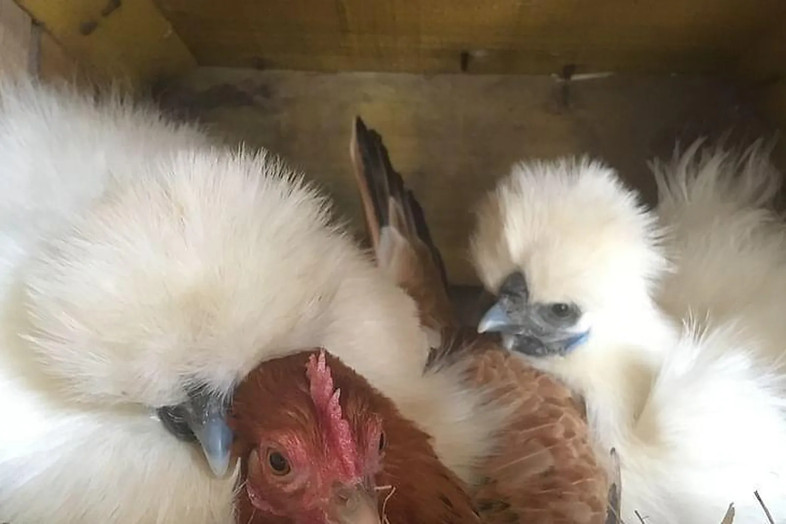 Lieux événementiels, BON-AIR