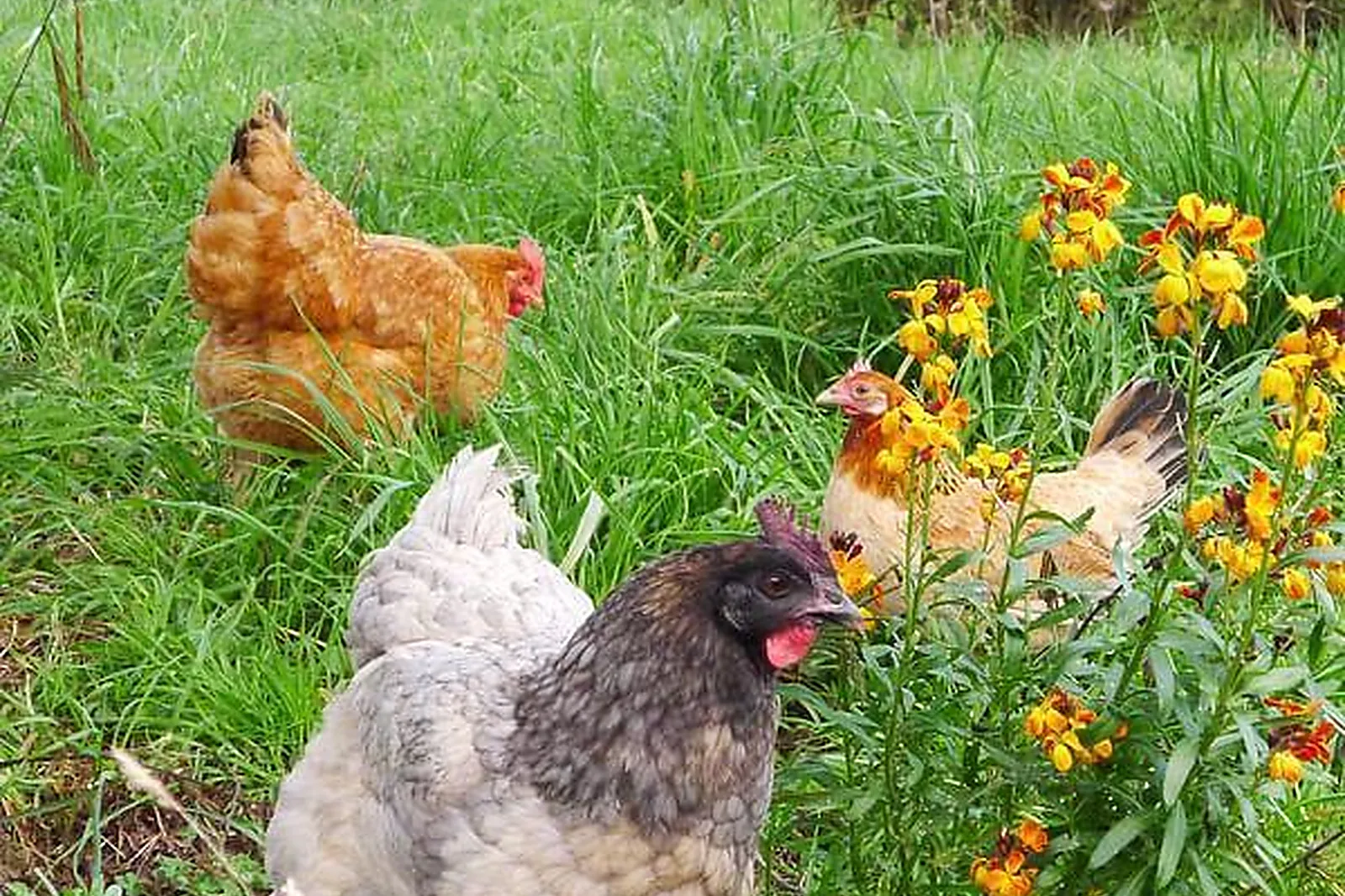 Lieux événementiels, BON-AIR