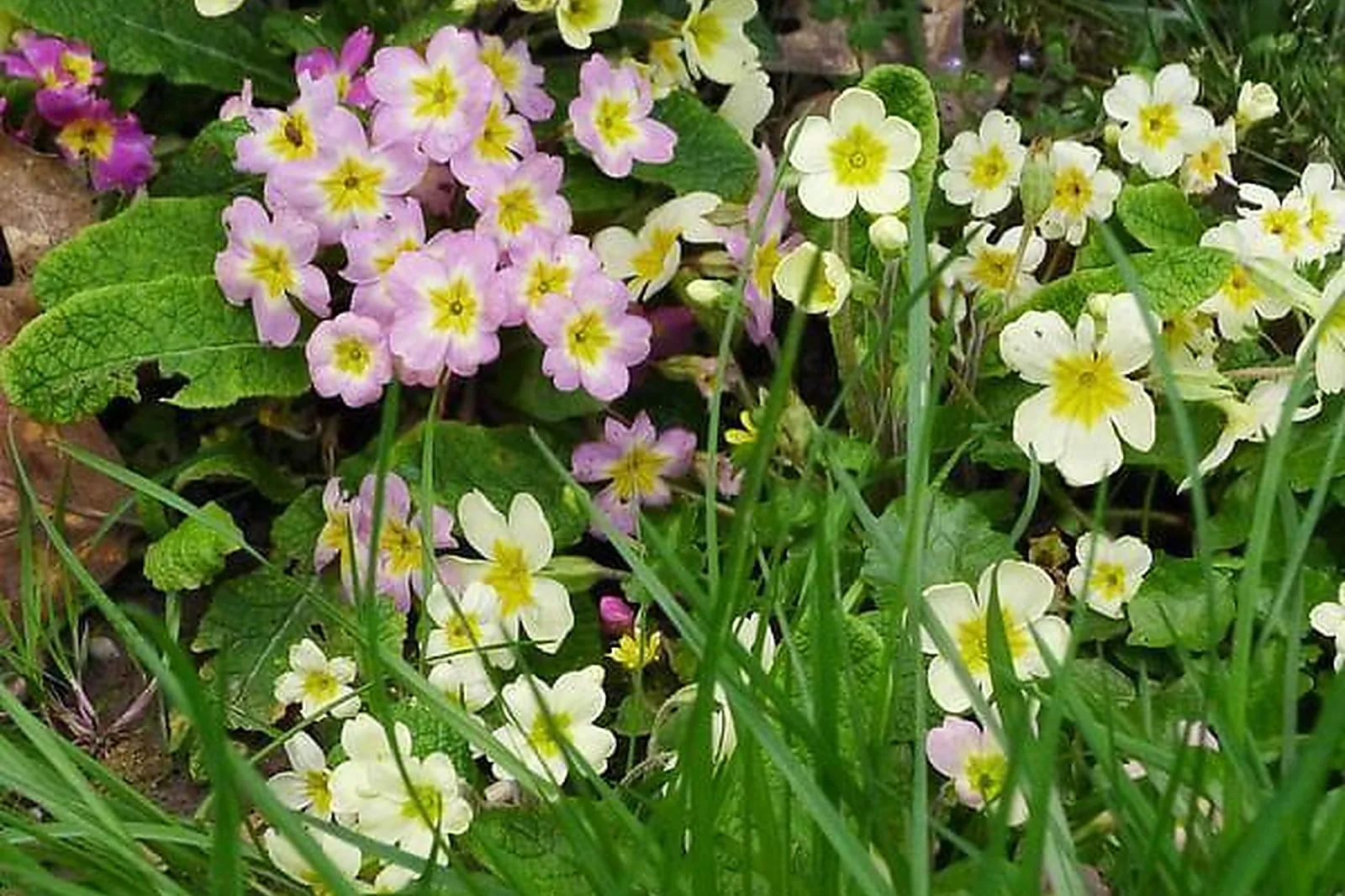 Lieux événementiels, BON-AIR