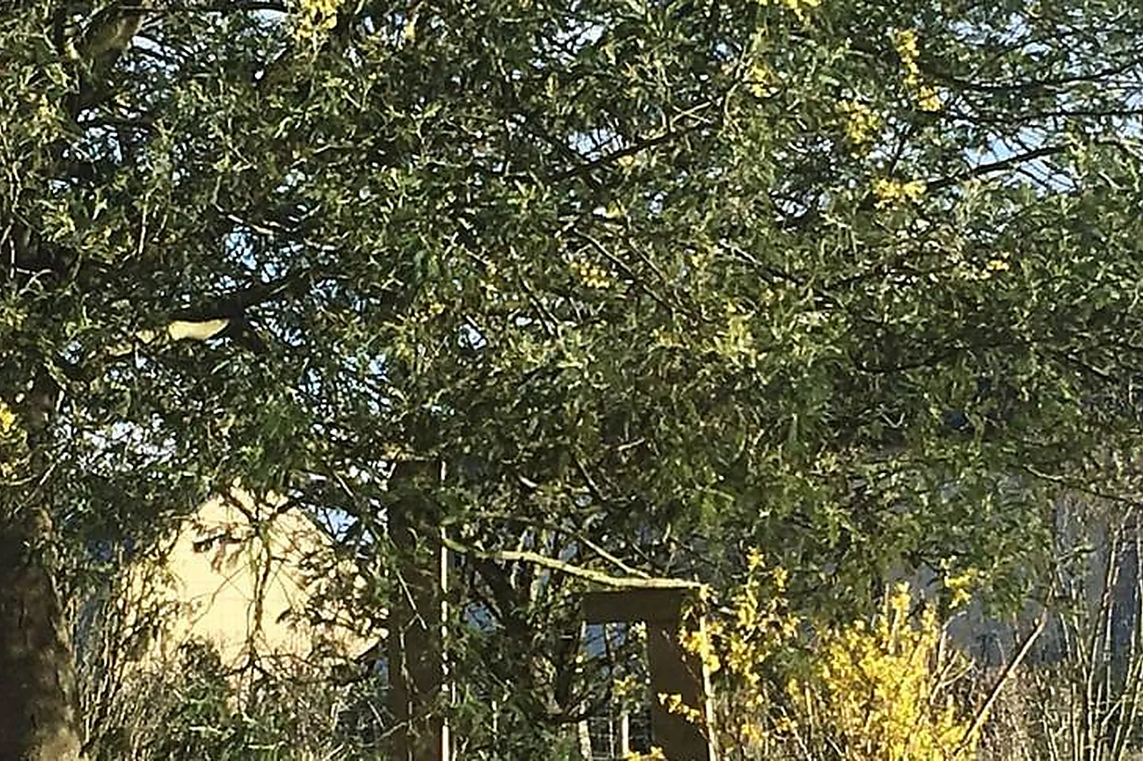 Lieux événementiels, BON-AIR