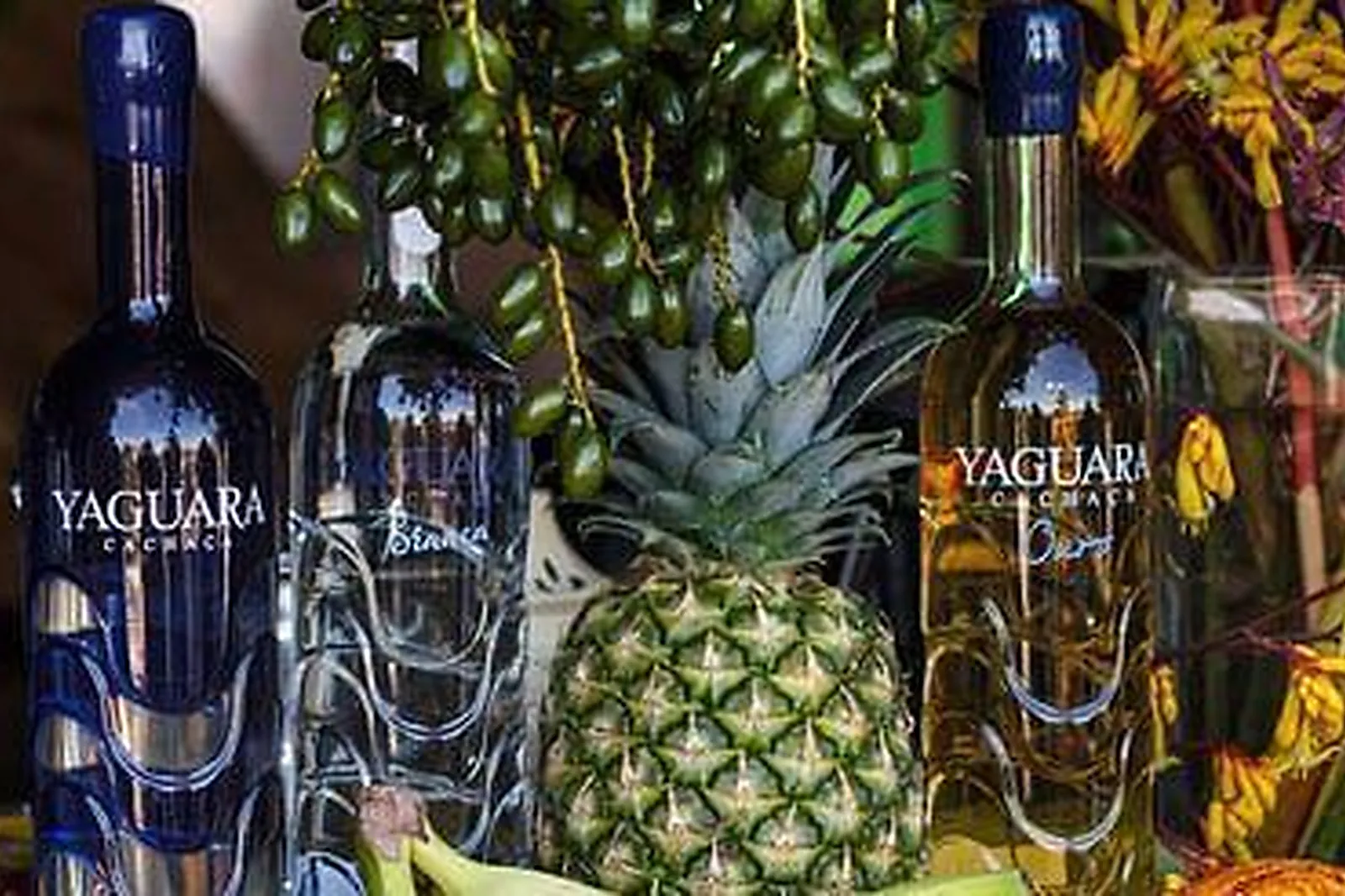 Lieux événementiels, BOTECO