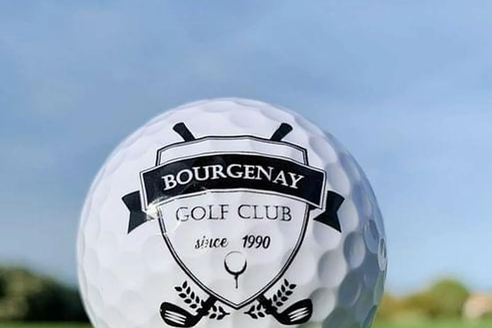 Lieux événementiels, L'ILE DU MARTIN PÊCHEUR