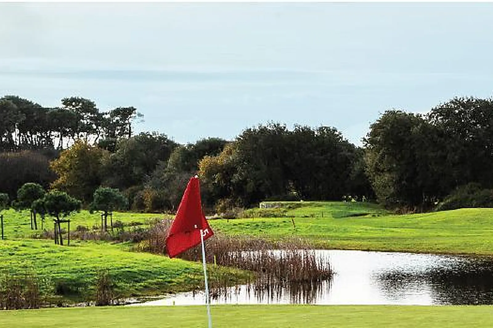 Lieux événementiels, L'ILE DU MARTIN PÊCHEUR