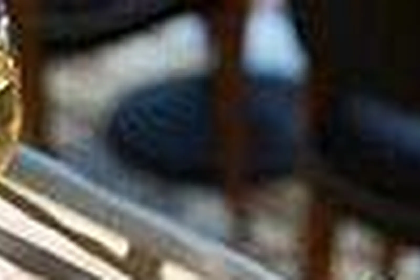 Lieux événementiels, BRASSERIE LE LUCO