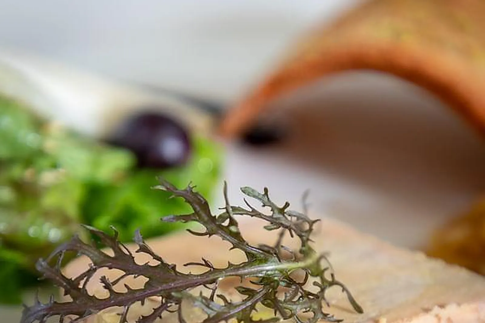 Lieux événementiels, BRIT HOTEL KARA SAINTE-ANNE D'AURAY***