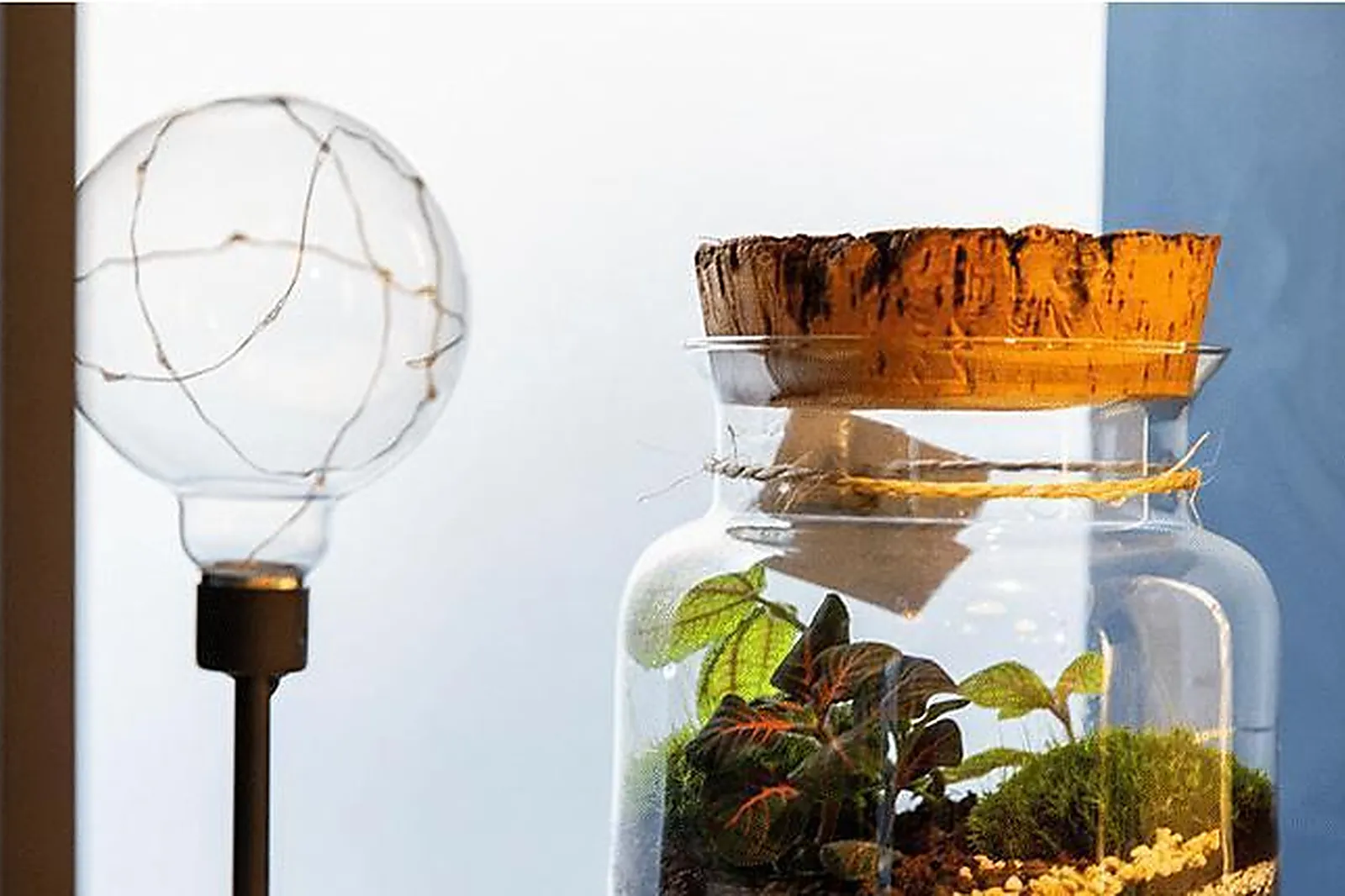 Lieux événementiels, BULLE GREEN