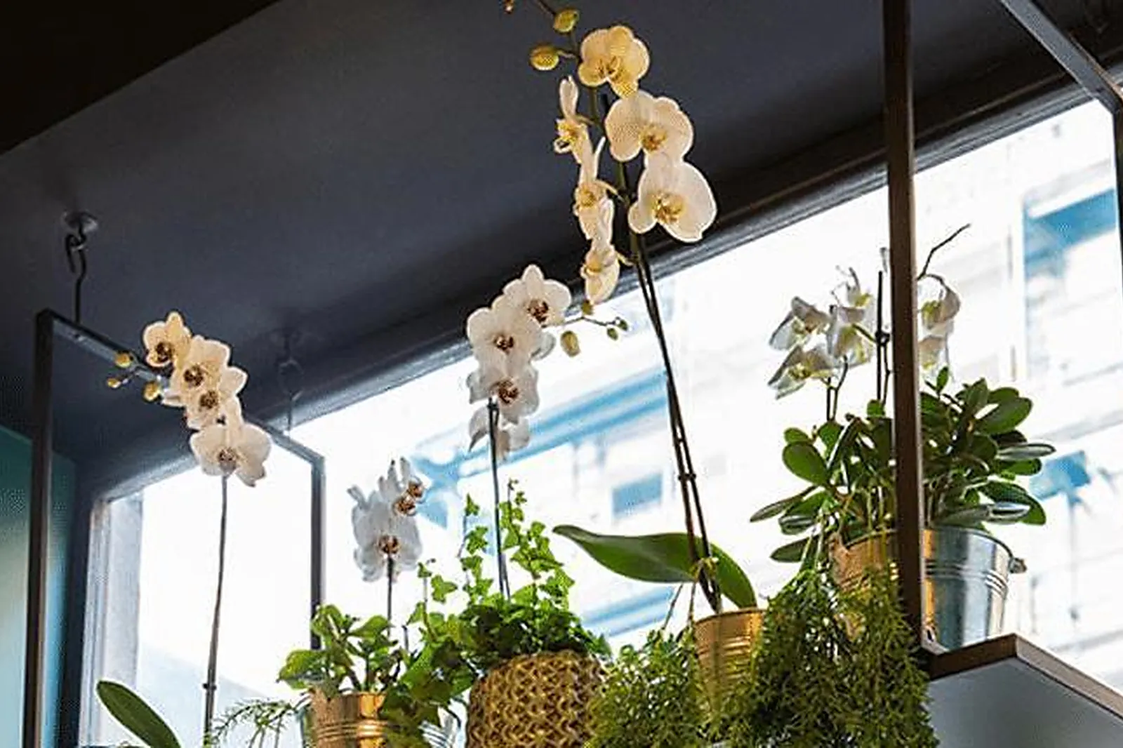 Lieux événementiels, BULLE GREEN