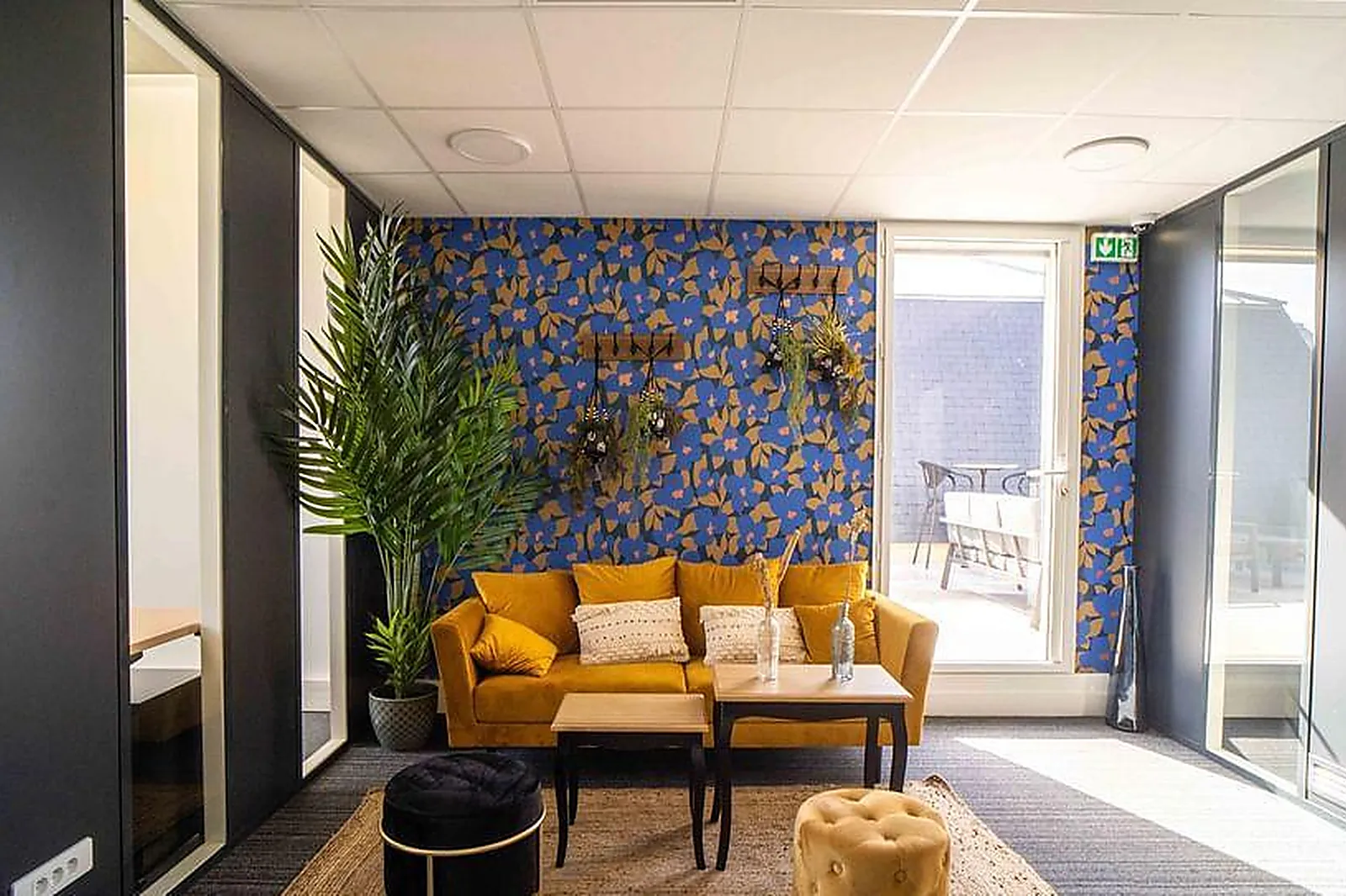 Lieux événementiels, RUE CAFFARELLI NICE