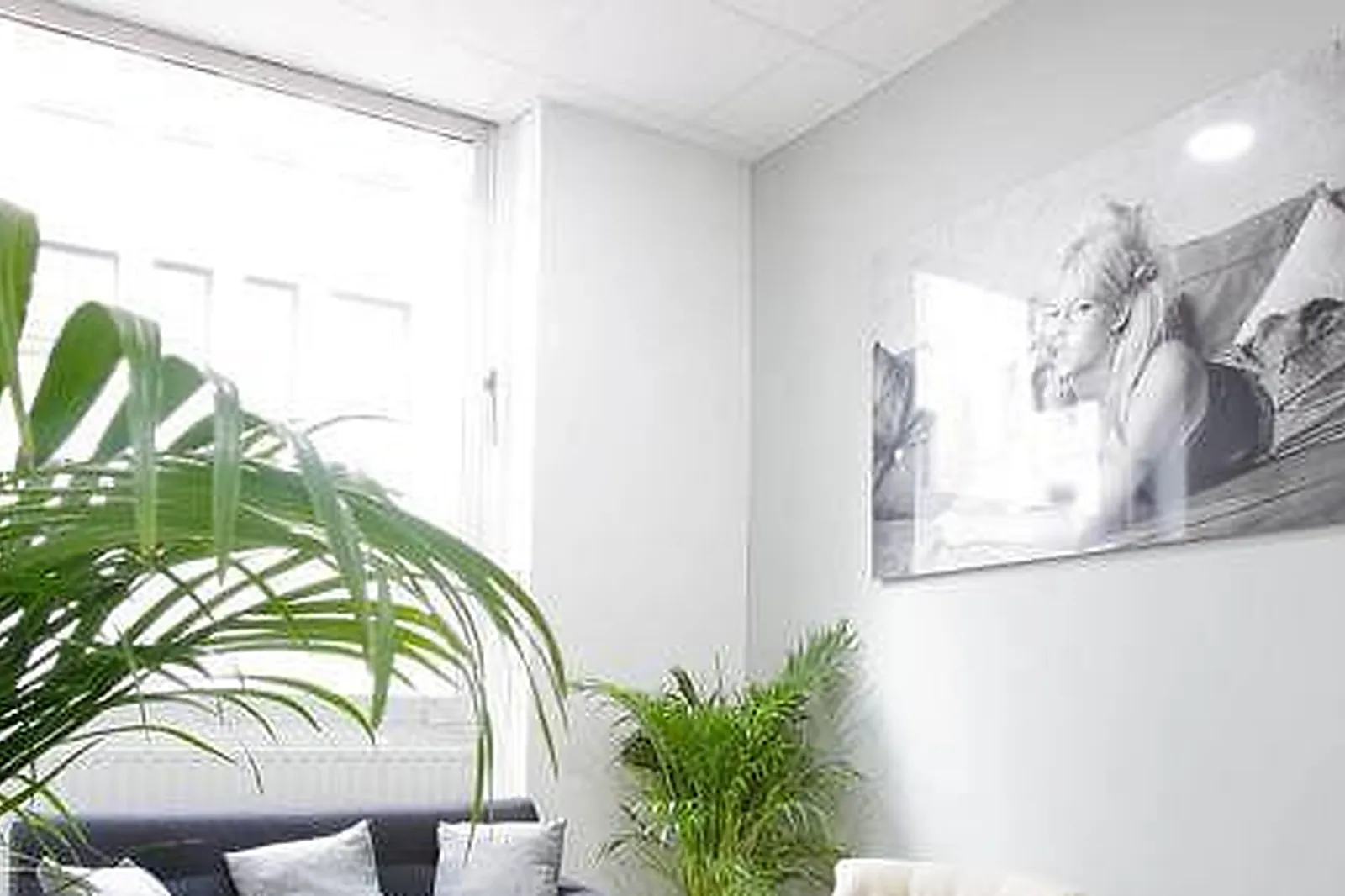 Lieux événementiels, CALM*** APPART' ET HOSTEL