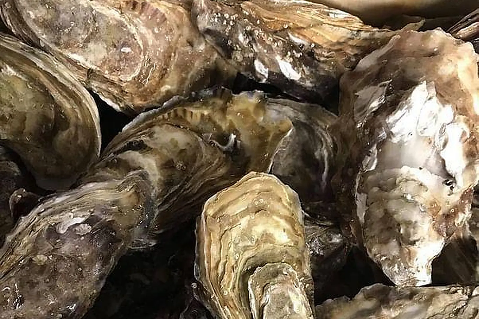 Lieux événementiels, CAFÉ DU VILLAGE