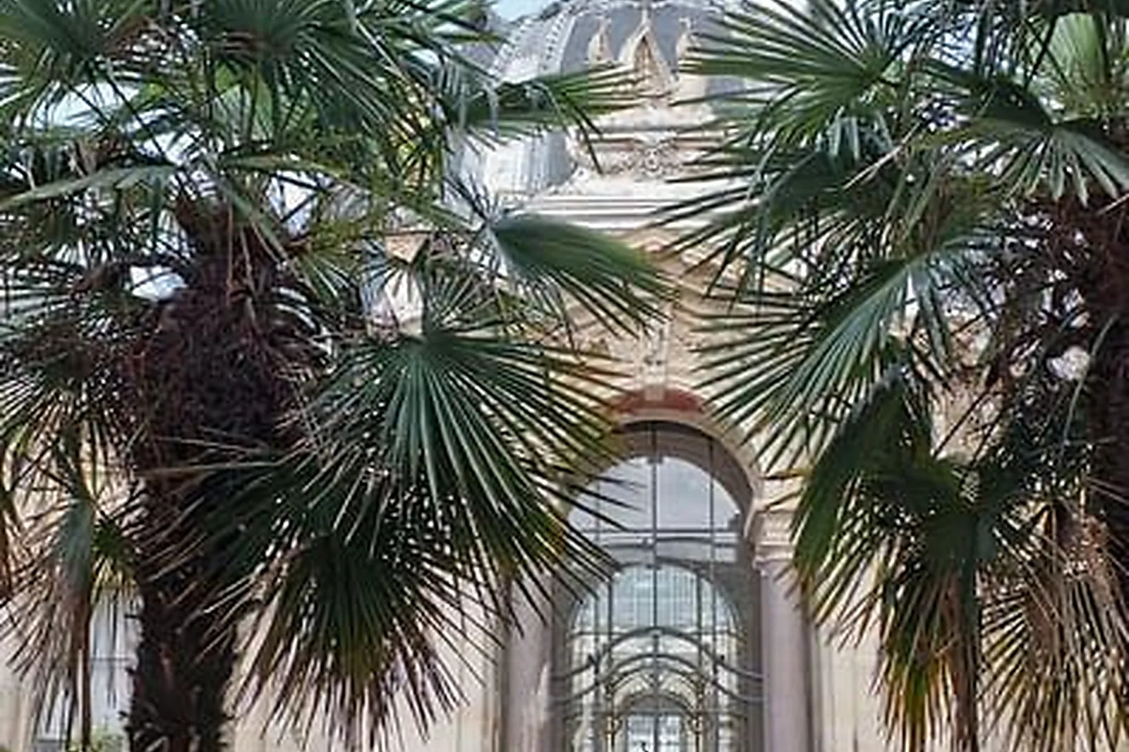 Lieux événementiels, CAFÉ LE JARDIN DU PETIT PALAIS