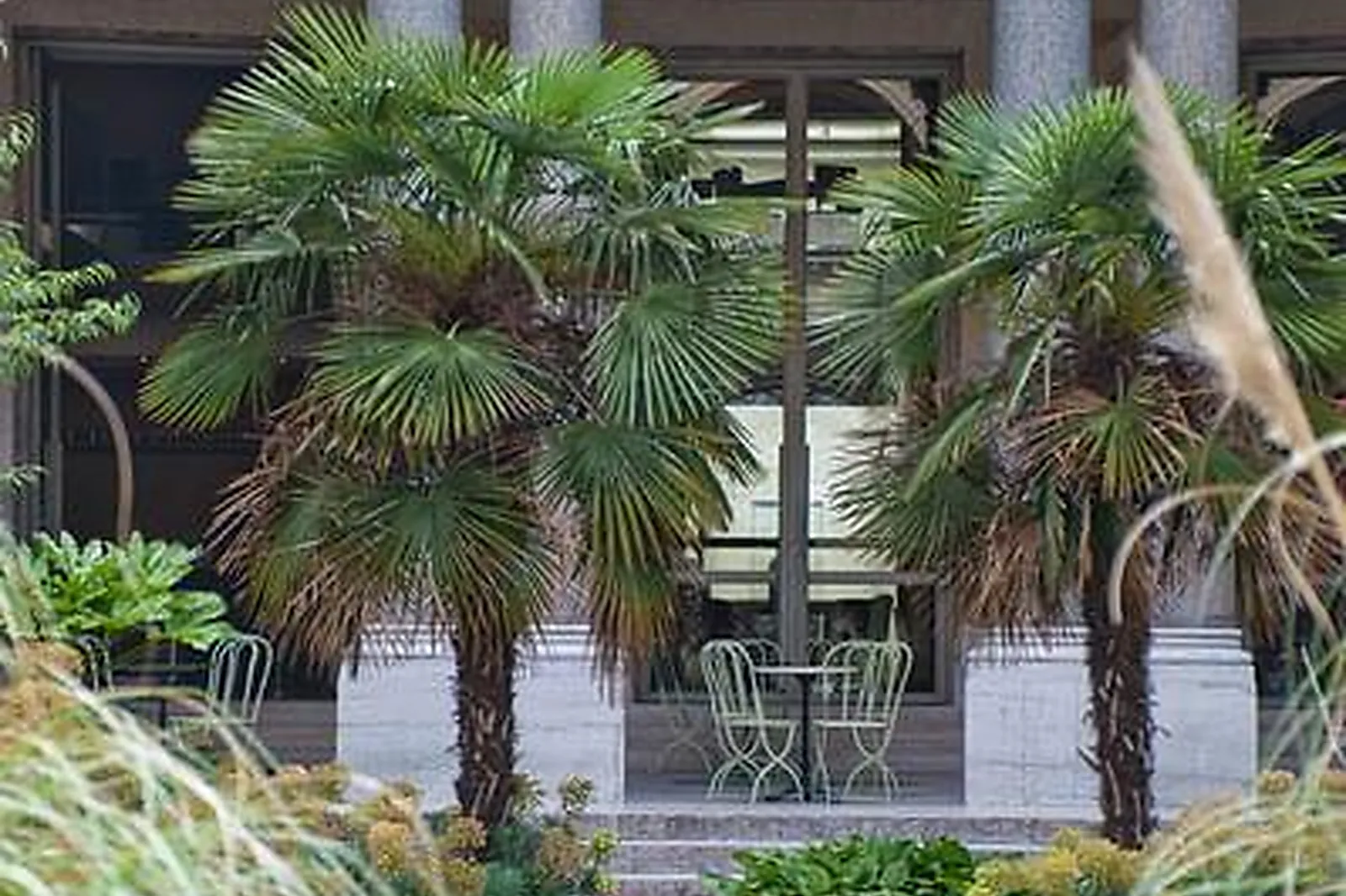 Lieux événementiels, CAFÉ LE JARDIN DU PETIT PALAIS