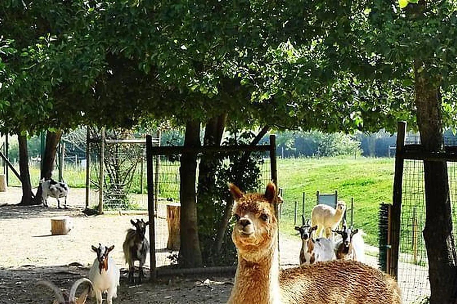 Lieux événementiels, CAMPANILE VAL DE FRANCE ***