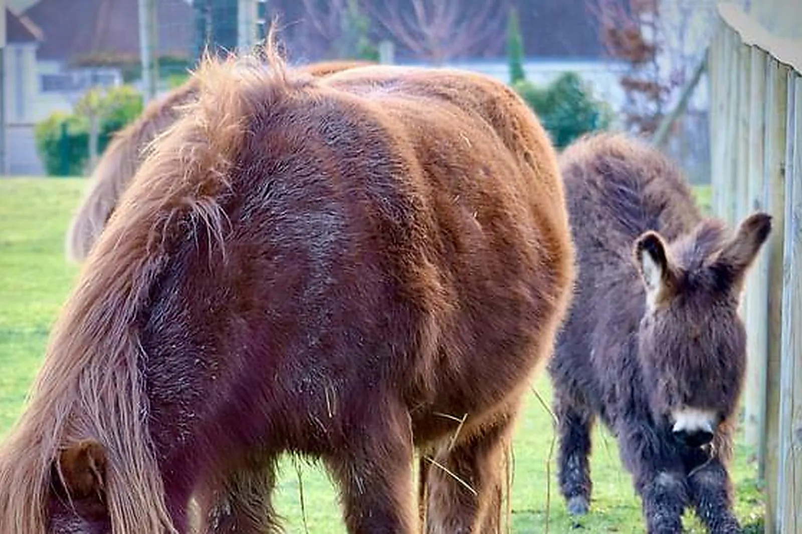 Lieux événementiels, CAMPANILE VAL DE FRANCE ***