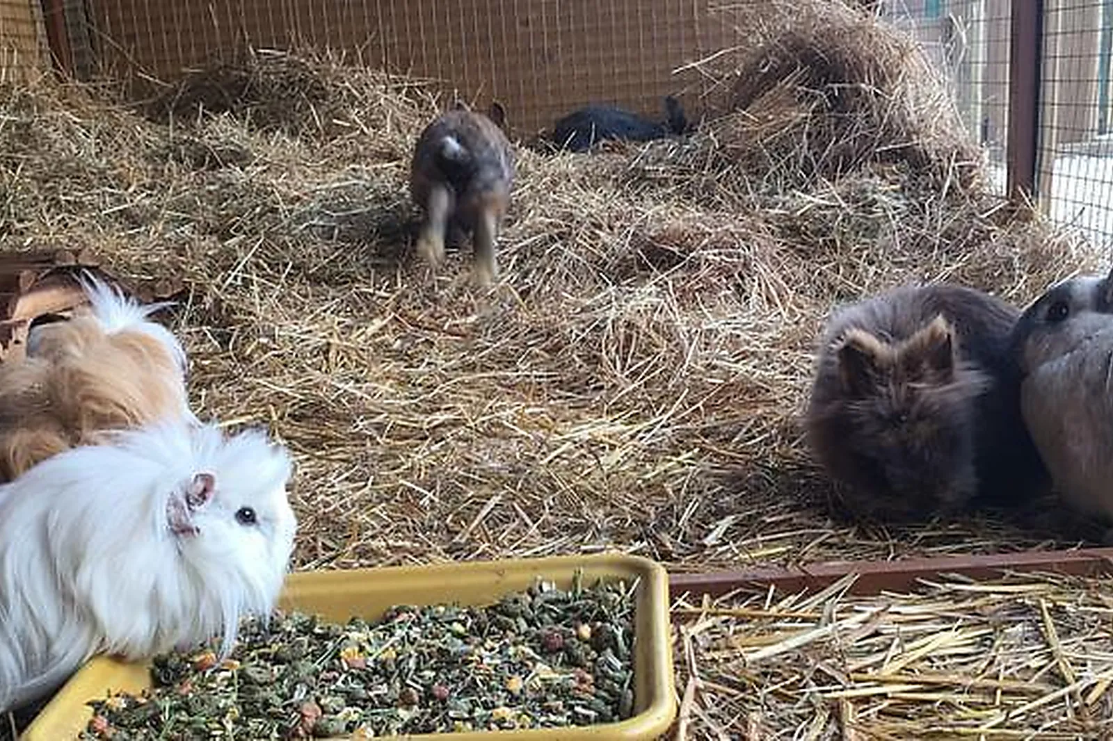 Lieux événementiels, CAMPANILE VAL DE FRANCE ***