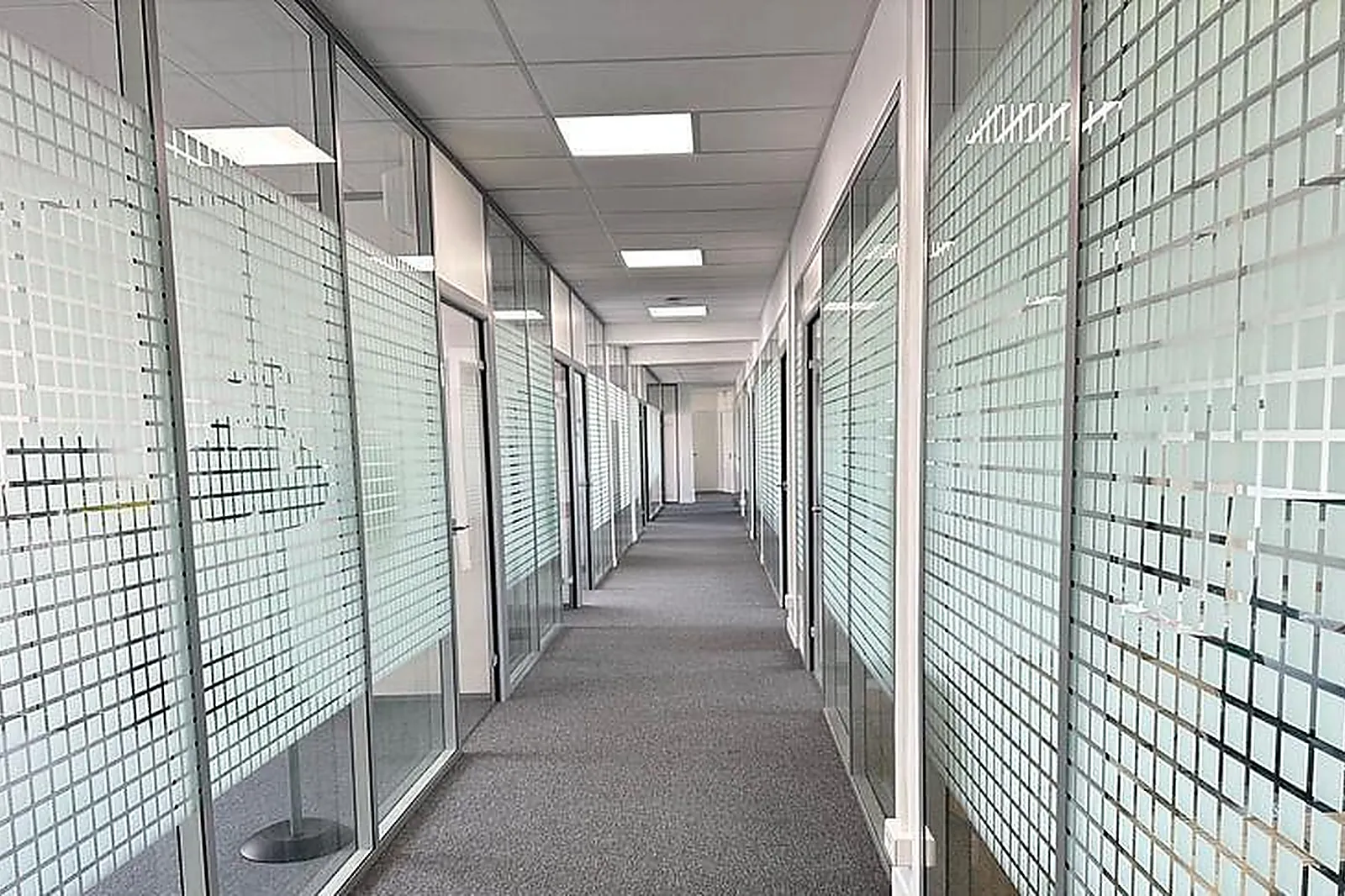 Lieux événementiels, CAMPUS 113