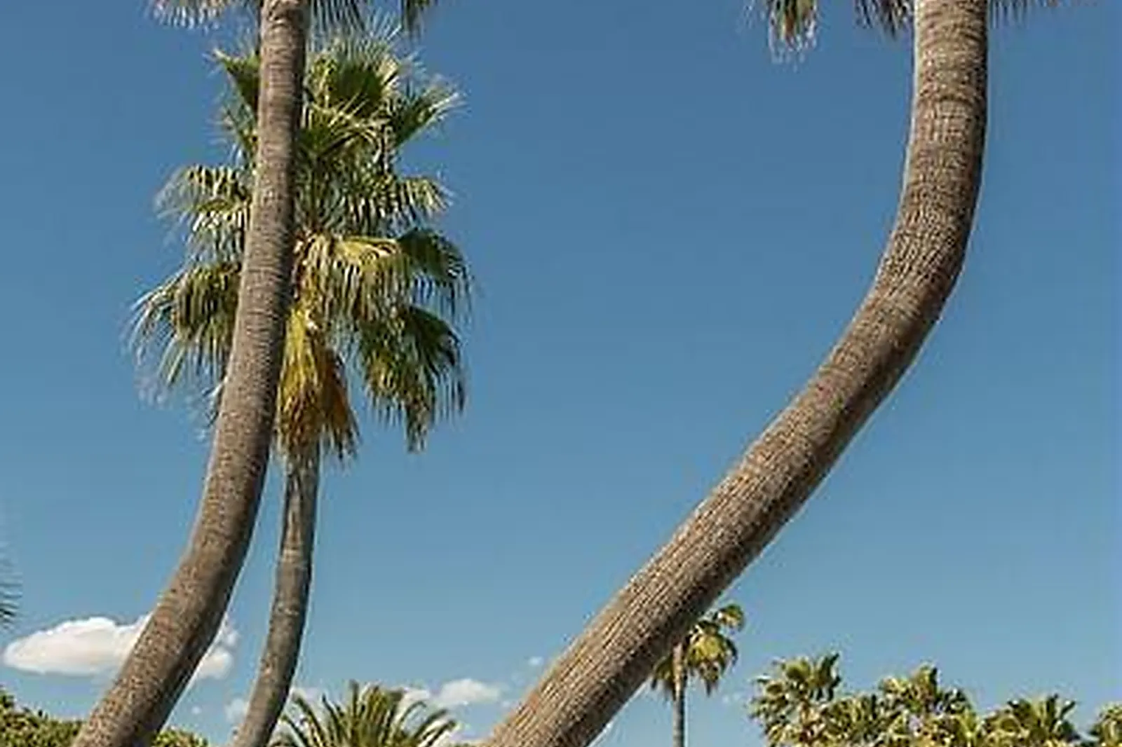 Lieux événementiels, CANNES-MANDELIEU - PIERRE & VACANCES