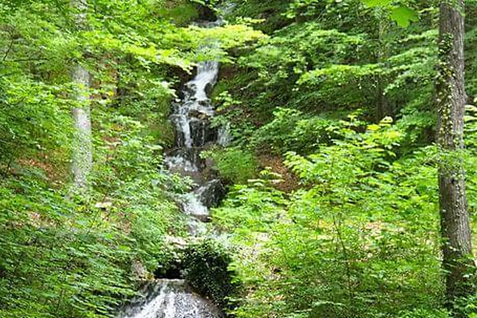 Lieux événementiels, CARINA PAVILLON GAP