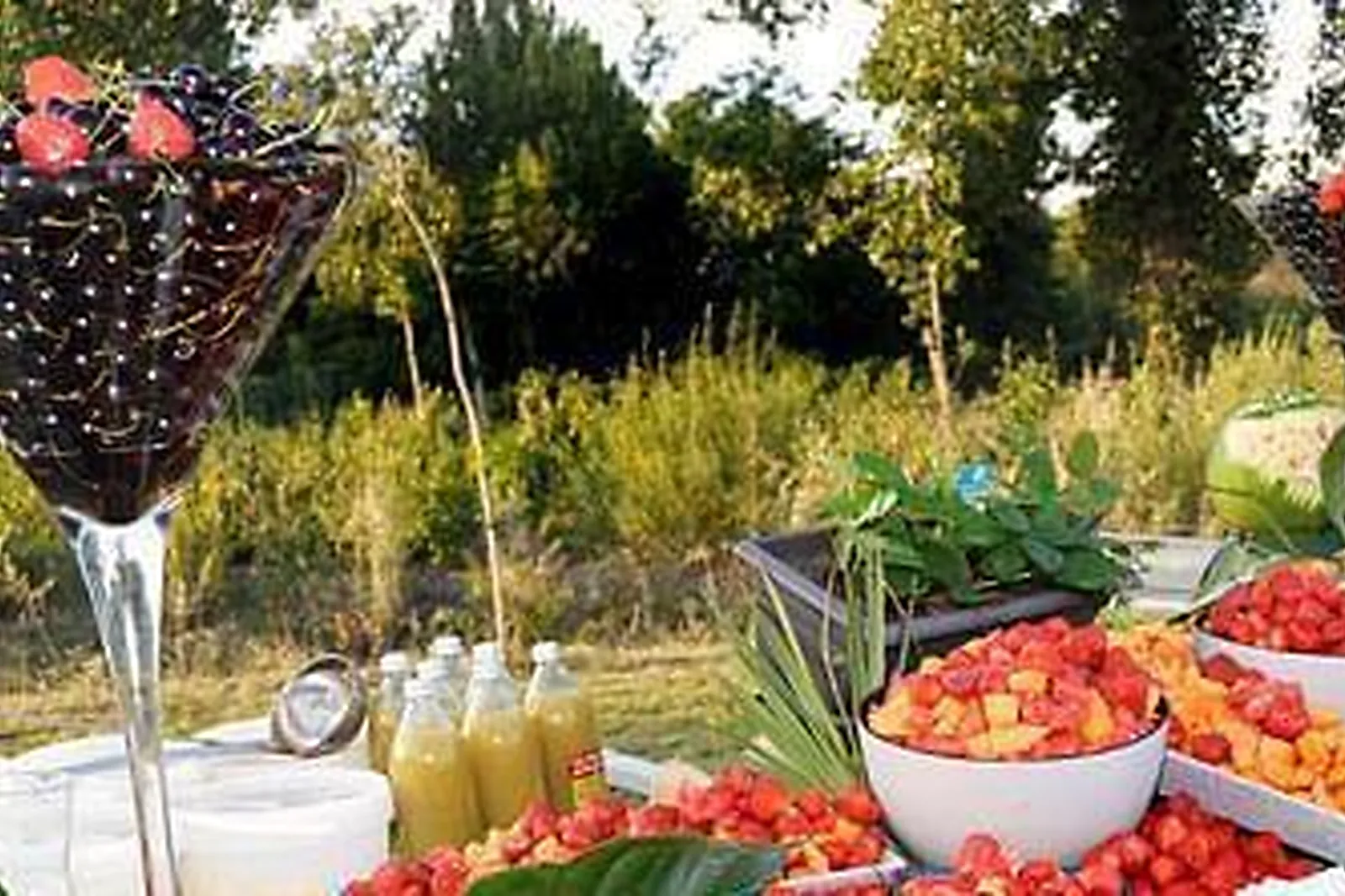 Lieux événementiels, SOFRADOM BLANCS MANTEAUX