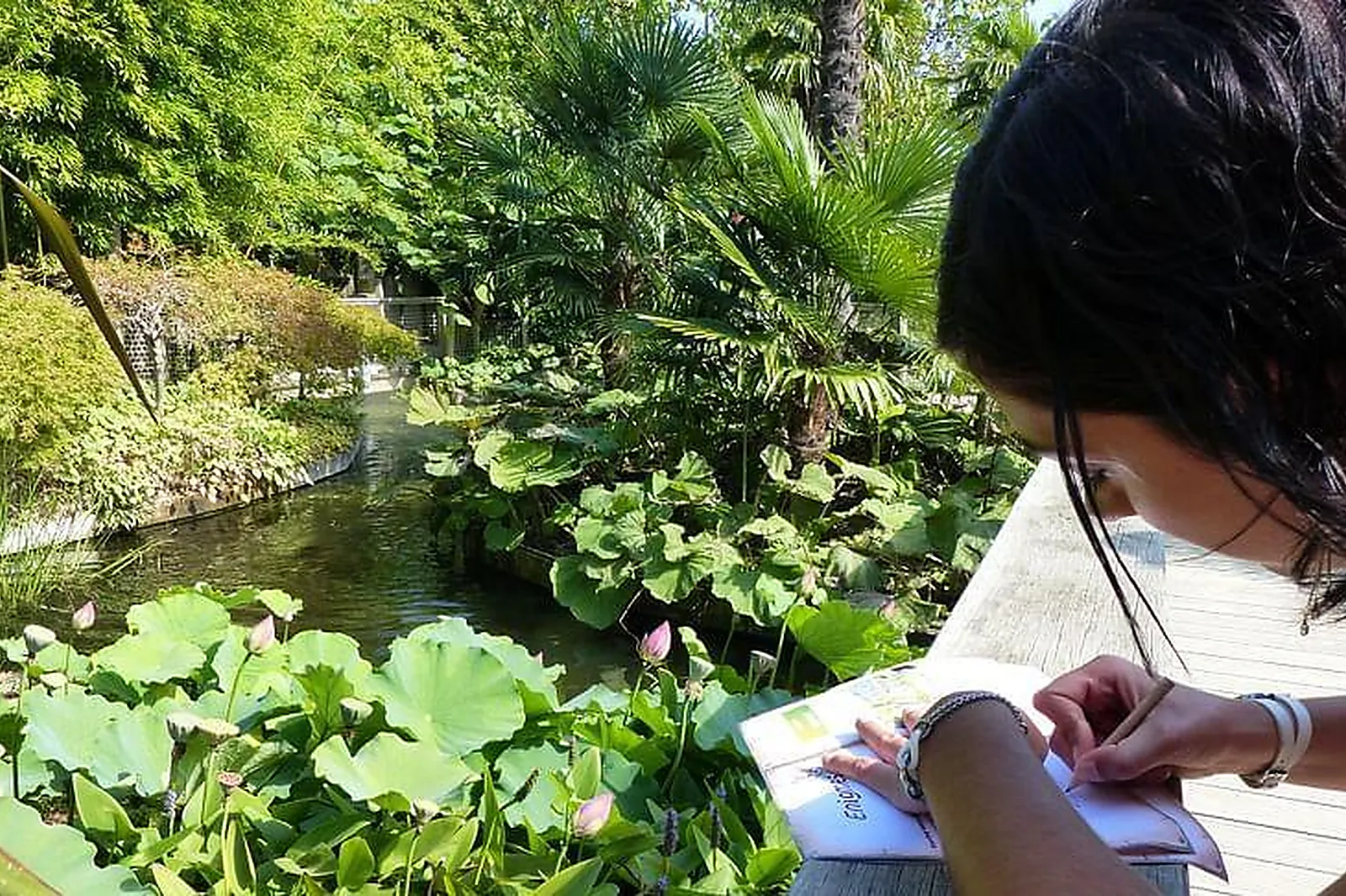 Lieux événementiels, CENTRE D'AFFAIRES TERRA BOTANICA