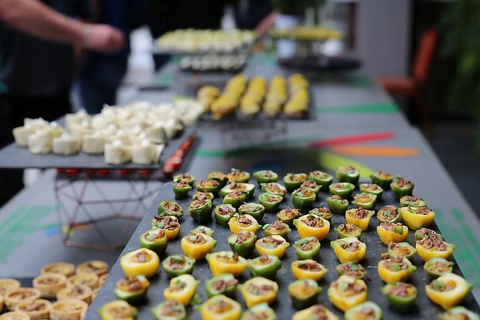 Lieux événementiels, CENTRE D'AFFAIRES TERRA BOTANICA