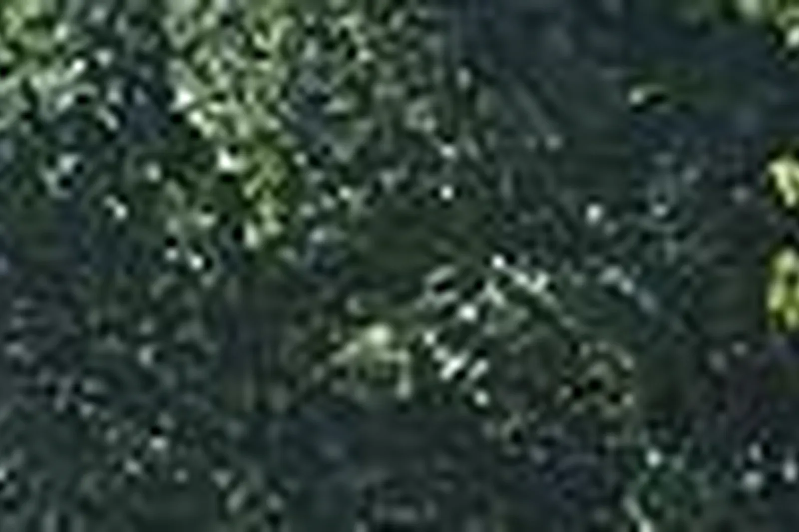 Lieux événementiels, CHALET INDIGO STRASBOURG