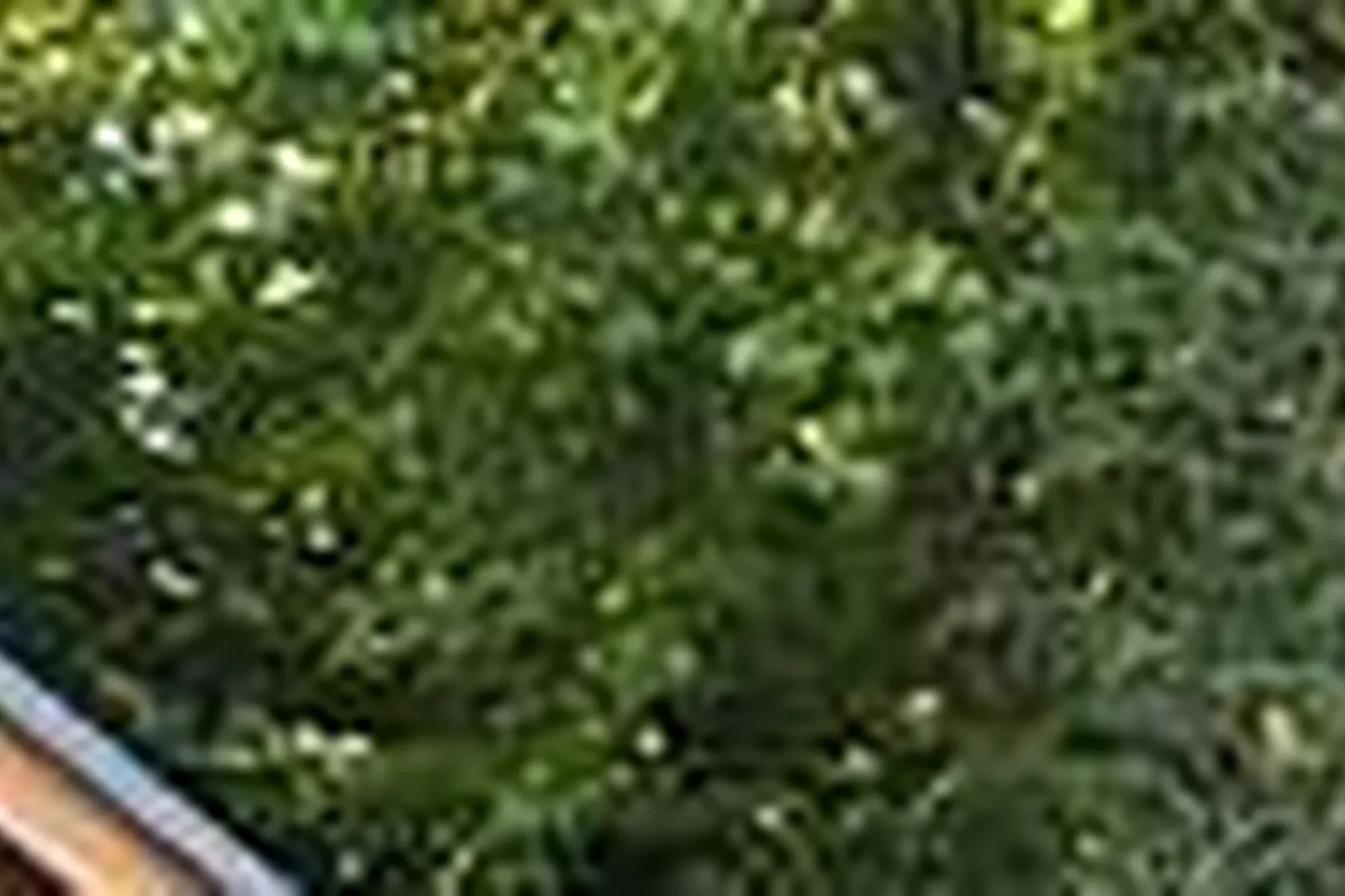 Lieux événementiels, CHALET INDIGO STRASBOURG