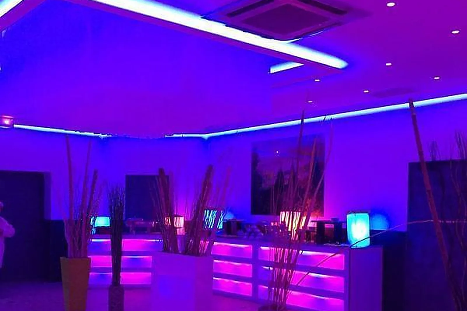 Lieux événementiels, CHALET DES PINS