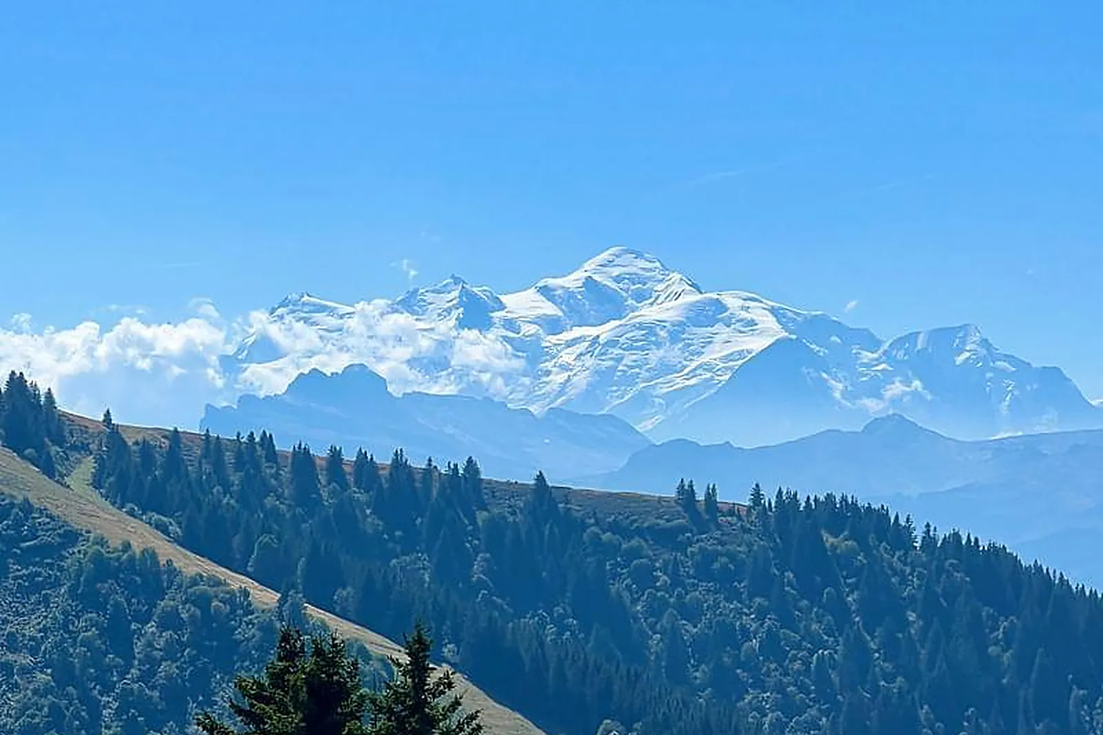 Lieux événementiels, CHALET D’ALPAGE DE BEAUREGARD