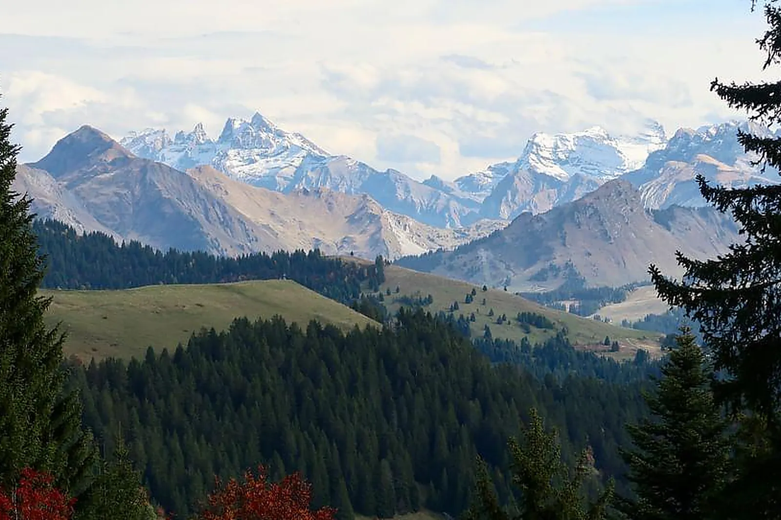 Lieux événementiels, CHALET D’ALPAGE DE BEAUREGARD