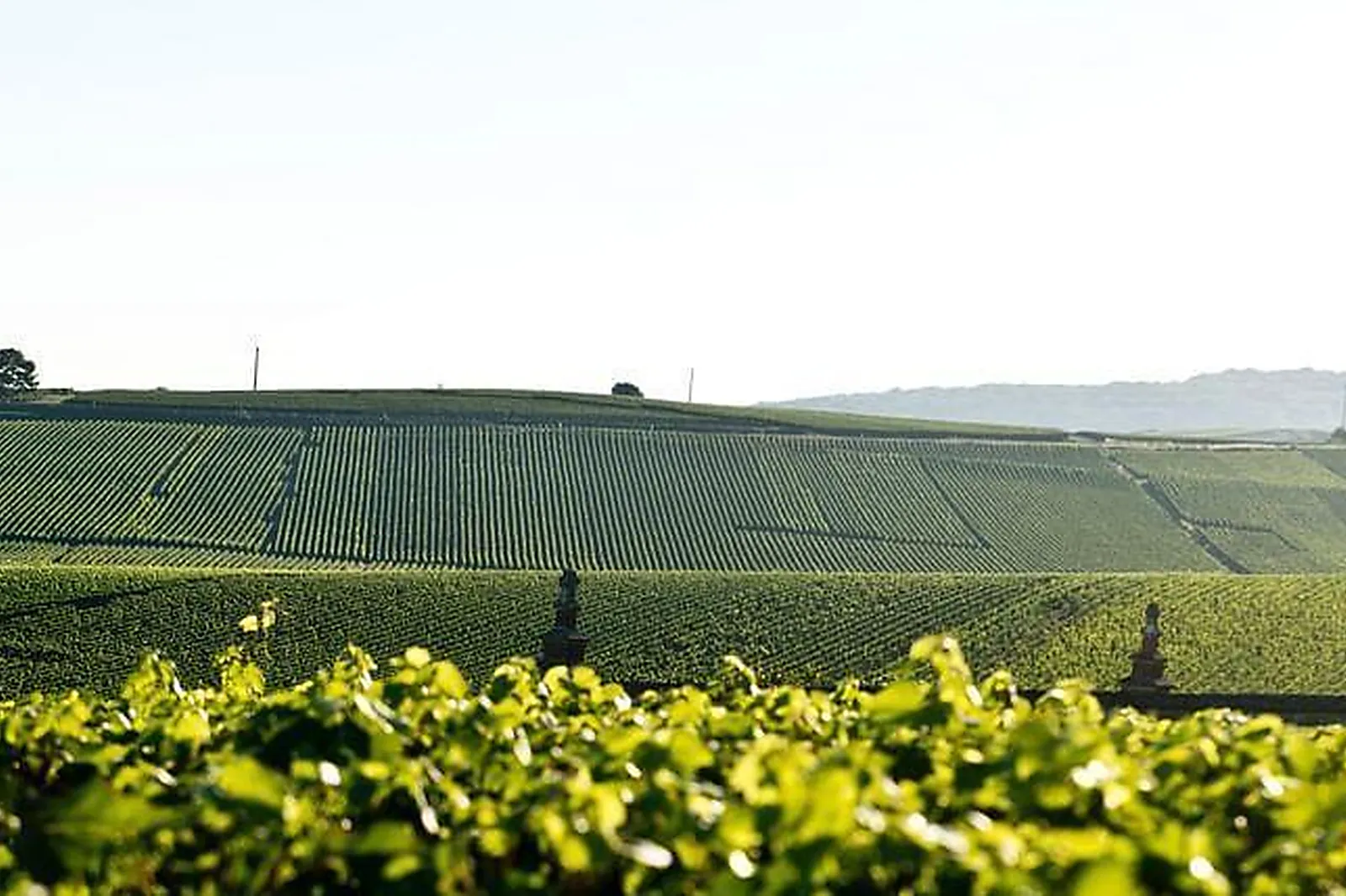 Lieux événementiels, CHAMPAGNE CANARD-DUCHENE