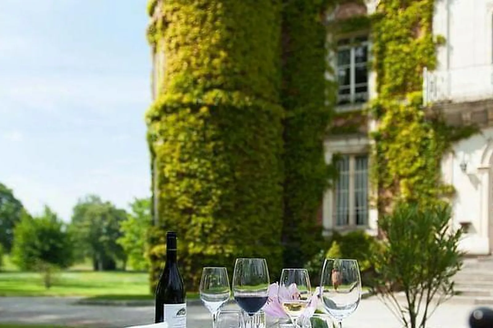 Lieux événementiels, CHATEAU D'APIGNÉ *****