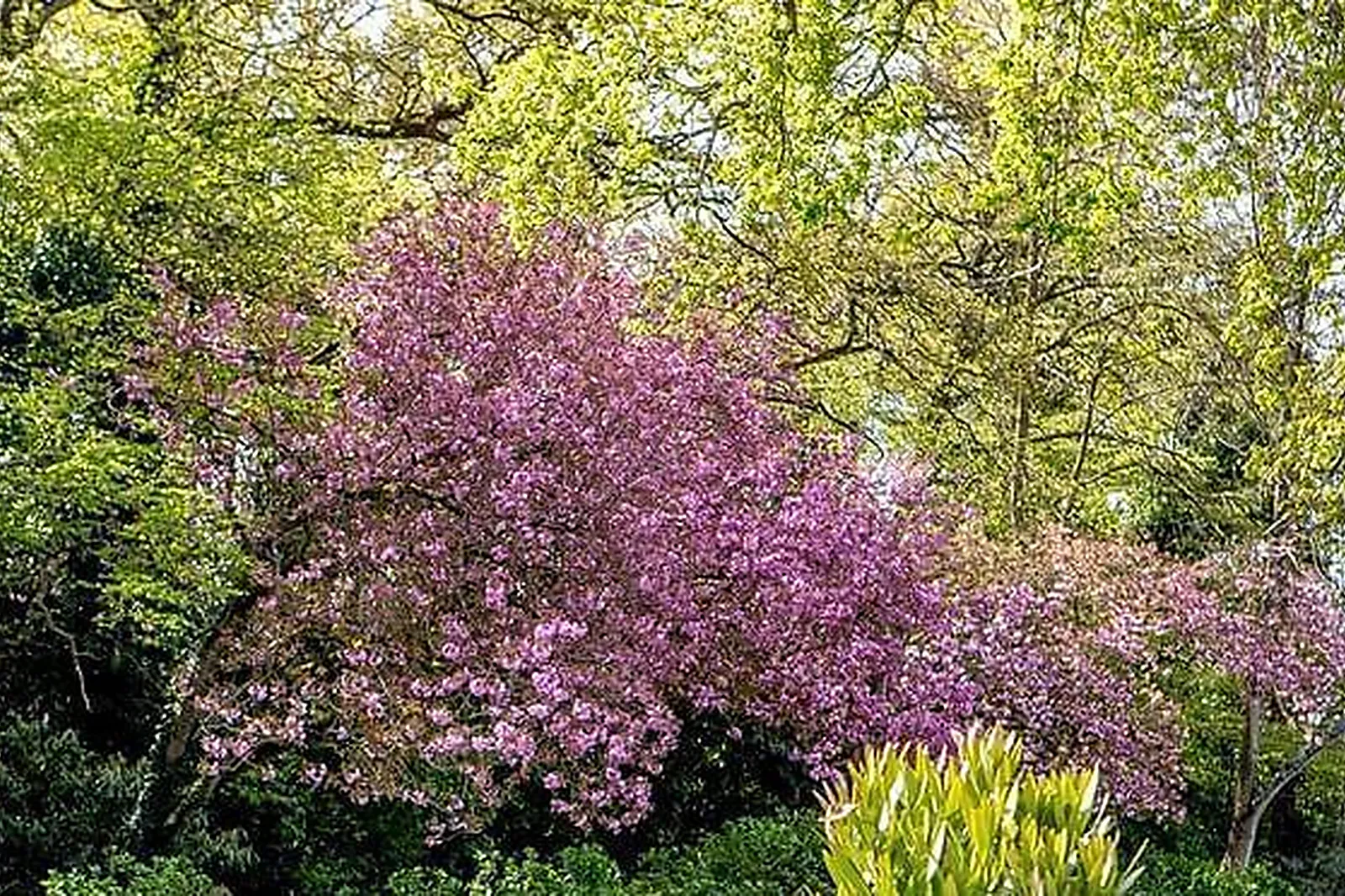 Lieux événementiels, CHATEAU D'APIGNÉ *****