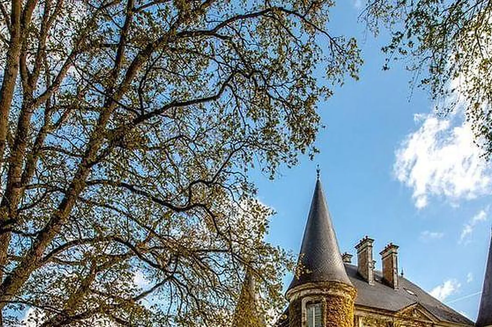 Lieux événementiels, CHATEAU D'APIGNÉ *****