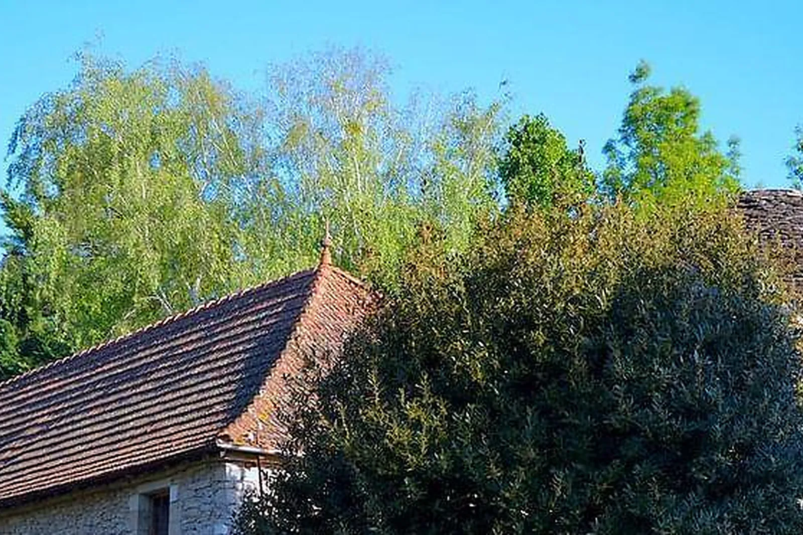 Lieux événementiels, CHATEAU D'IGE****