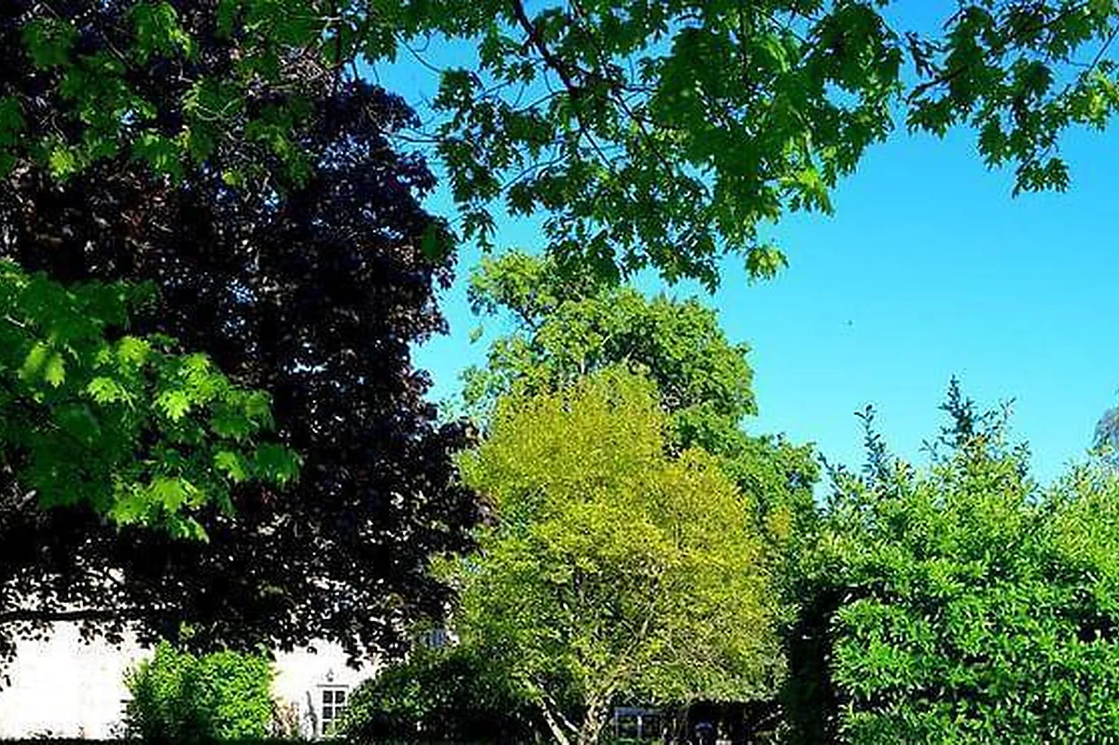 Lieux événementiels, CHATEAU D'IGE****