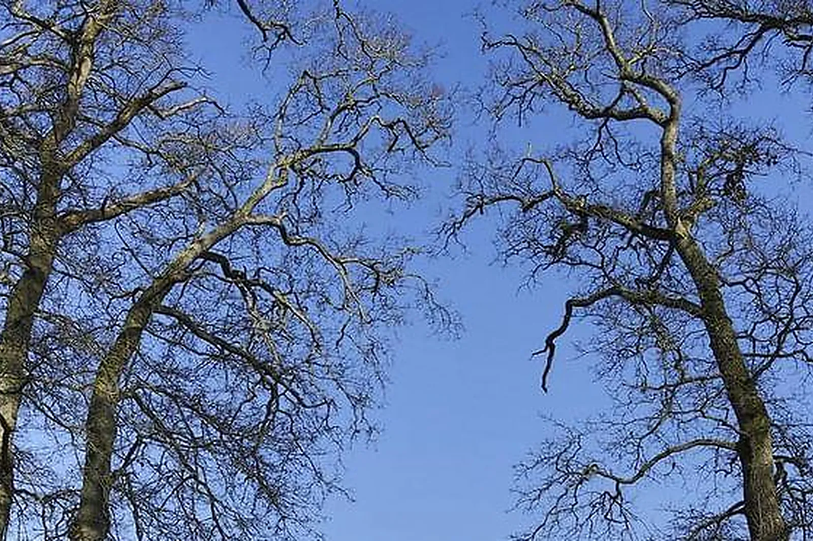 Lieux événementiels, CHATEAU DES MONTS