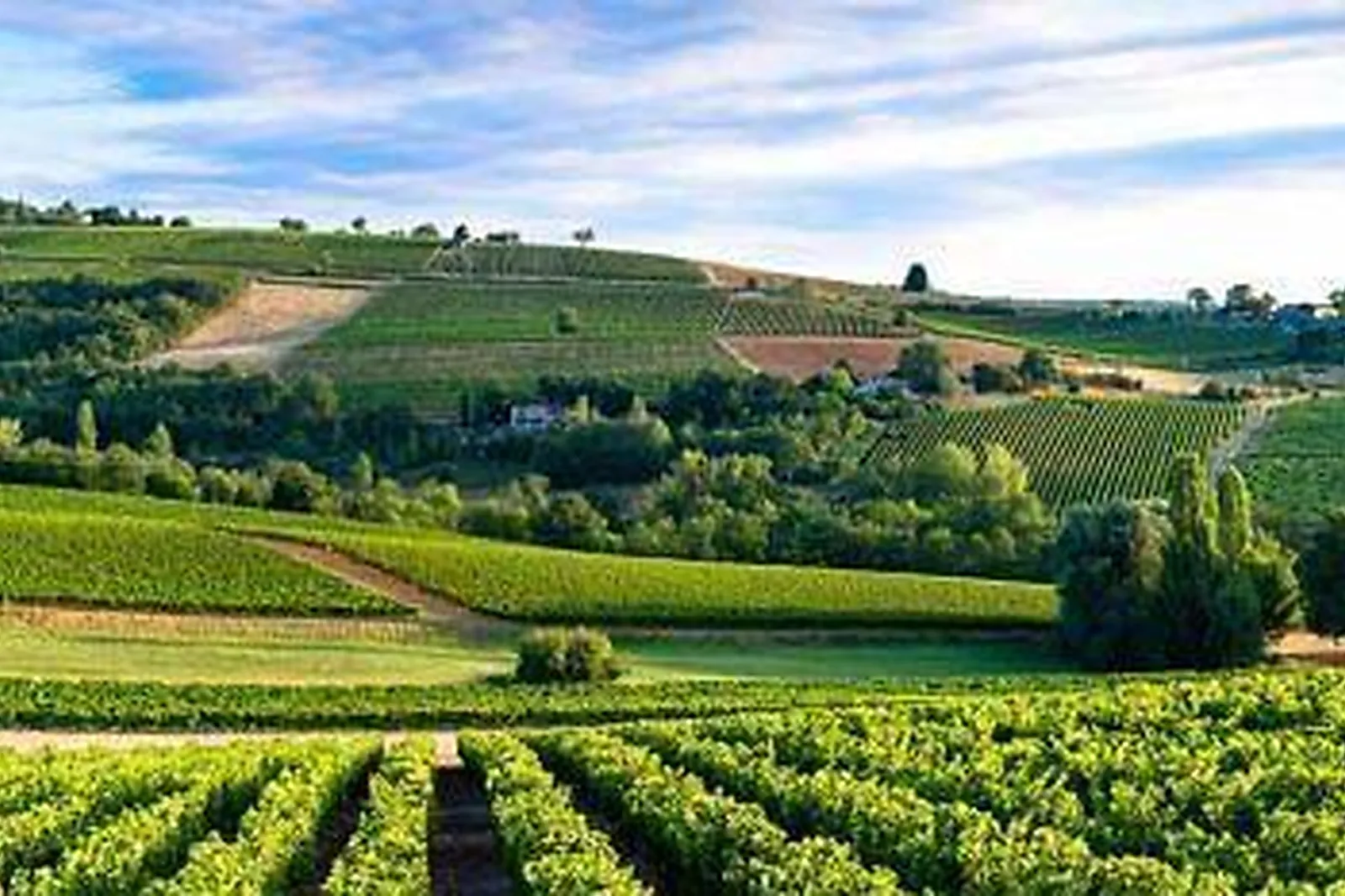 Lieux événementiels, CHÂTEAU BOZELLE