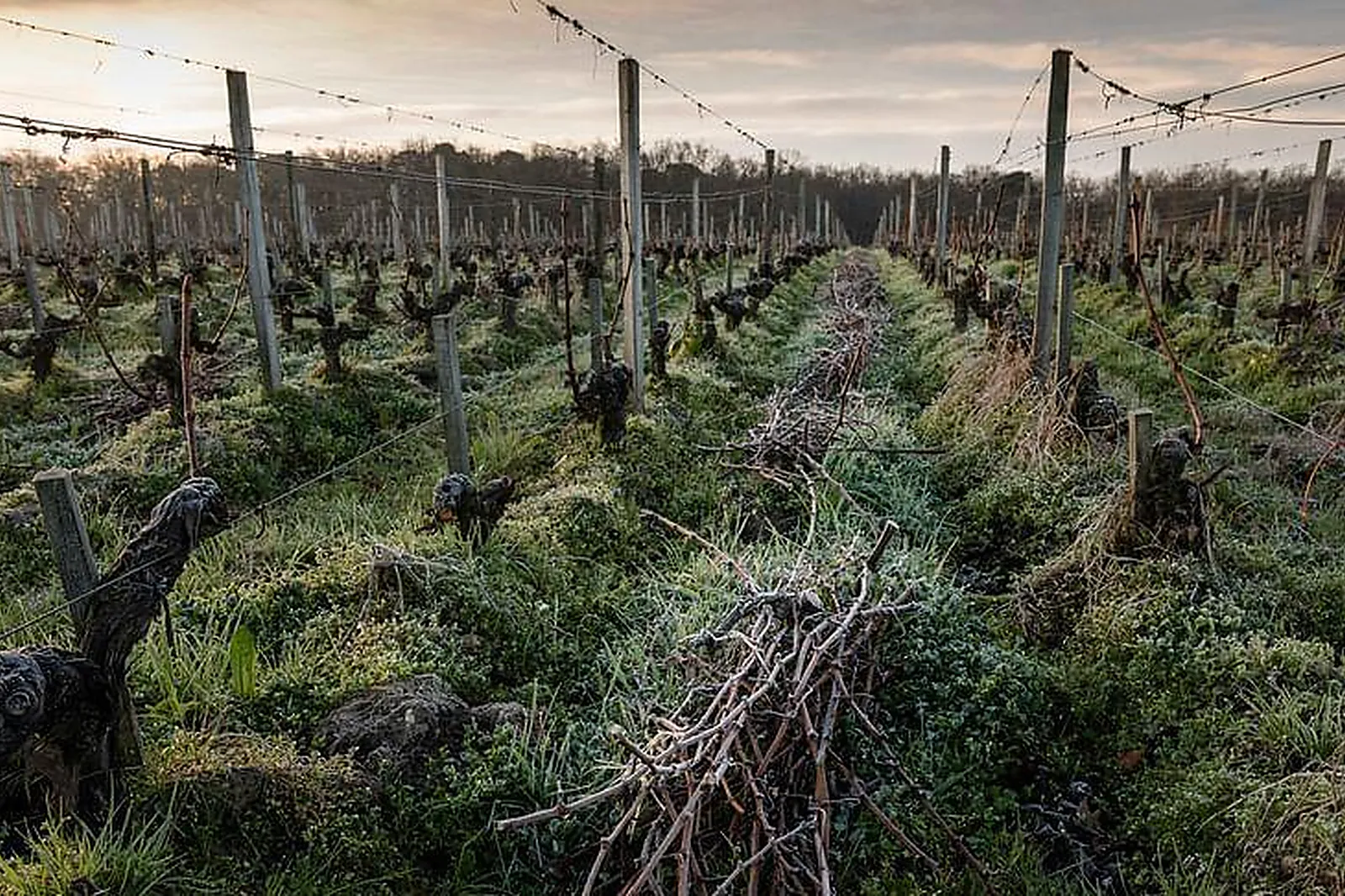 Lieux événementiels, CHÂTEAU COUHINS